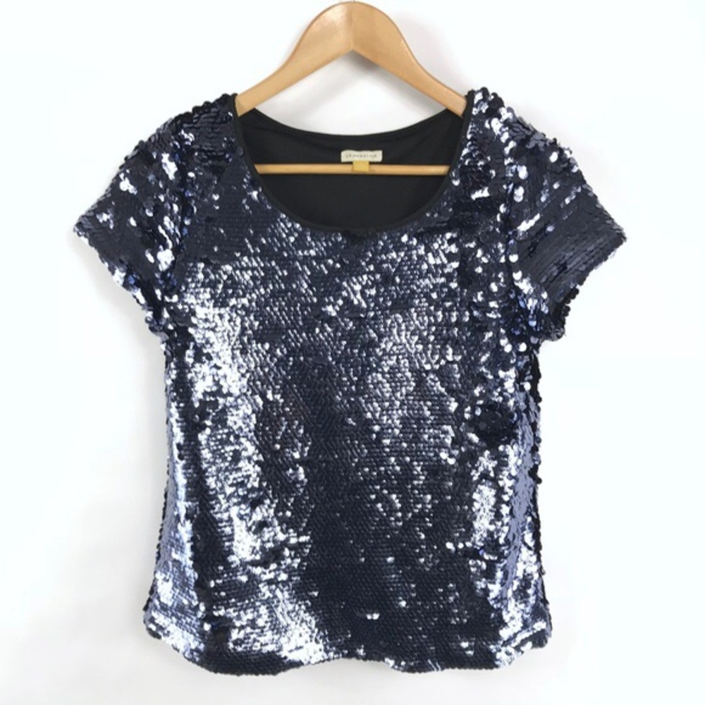Anthropologie Leifsdottir slate blue sequin top XS